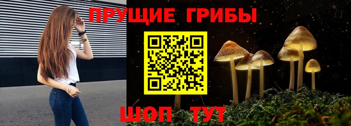Галлюциногенные грибы Cubensis  купить  сайты  Вход с VPN  Киселёвск  Псилоцибиновые грибы Cubensis 